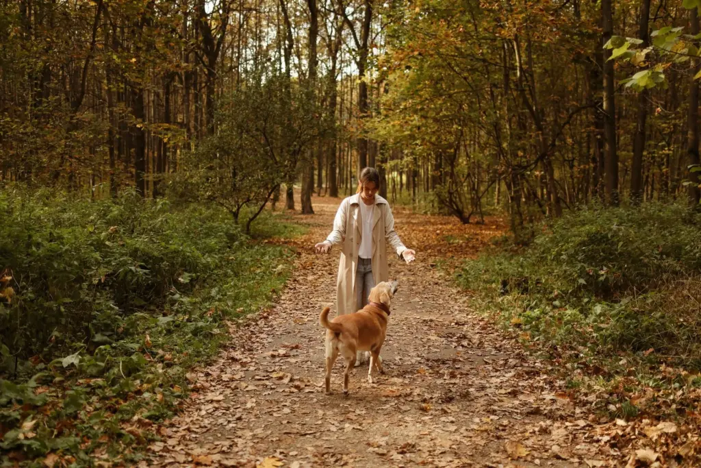 Eine Frau geht mit ihrem hellbraunen Hund auf einem herbstlichen Waldweg, der Hund schaut aufmerksam zu ihr hoch.