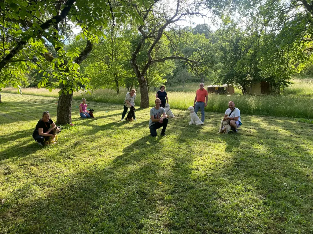Eine Gruppe Menschen kniet mit ihren Hunden auf einer sonnigen Wiese unter Obstbäumen bei einer Gruppenstunde bei Freiburg.