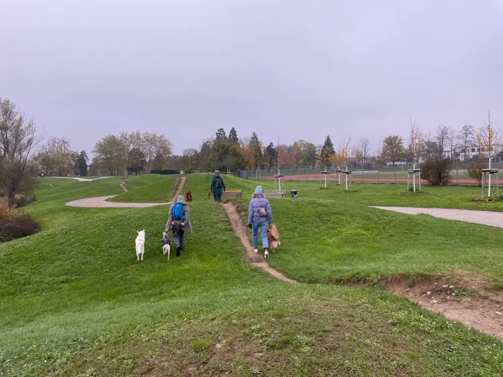 Menschen mit ihren Hunden gehen beim Sozialspaziergang über die Hügel am Seepark in Freiburg.